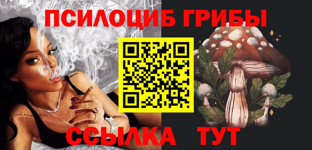 наркота  Псилоцибиновые грибы Cubensis  Вход с VPN  Белая Калитва 