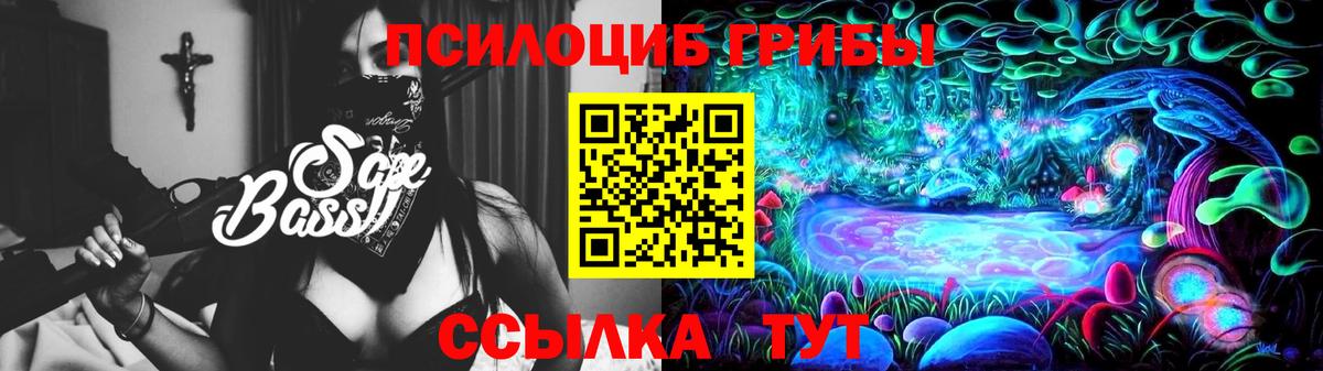 Галлюциногенные грибы Psilocybine cubensis Белая Калитва